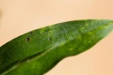 IMG_1883.jpg