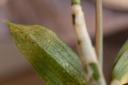 IMG_1885.jpg