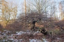 IMG_6630.jpg