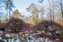 IMG_6632.jpg