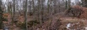 IMG_6652-Panorama.jpg
