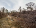Nom du fichier=IMG_6662-Panorama.jpg
Taille du fichier=229Ko
Dimensions : 799x621
Ajouté le : 17 Février 2018 IMG_6662-Panorama.jpg