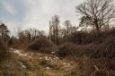 IMG_6666.jpg