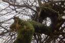 Nom du fichier=IMG_6672.jpg
Taille du fichier=214Ko
Dimensions : 800x533
Ajouté le : 17 Février 2018 IMG_6672.jpg