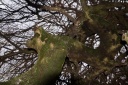 Nom du fichier=IMG_6673.jpg
Taille du fichier=223Ko
Dimensions : 800x533
Ajouté le : 17 Février 2018 IMG_6673.jpg