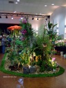 DSCF2866.jpg