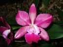 DSCF2881.jpg