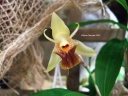 DSCF2889.jpg