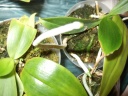 DSCF2975.jpg