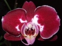 DSCF3021.jpg