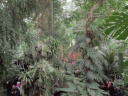 DSCF3441.jpg
