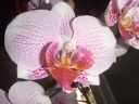 DSCF3008.JPG