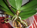 DSCF3109.JPG