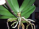 DSCF3120.JPG