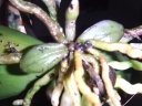 DSCF3122.JPG