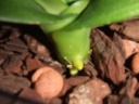 DSCF3128.JPG