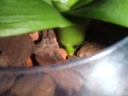 DSCF3129.JPG