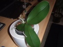 DSCF3132.JPG