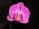DSCF3133.JPG