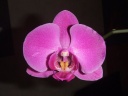 DSCF3134.JPG