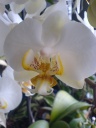 DSC00775.JPG