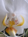 DSC00781.JPG