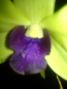 DSC01091.JPG