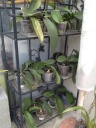 juin2C_juillet_2012_166.JPG