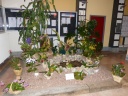 P1010587_28Copier29.JPG