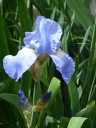 P1010615_28Copier29.JPG