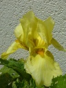 P1010616_28Copier29.JPG