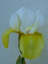P1010637_28Copier29.JPG