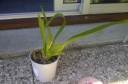 IMG-20120811-01359.jpg