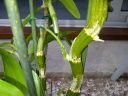 IMG-20120815-01393.jpg