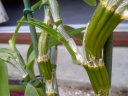 IMG-20120815-01395.jpg