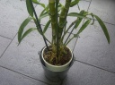 IMG-20120910-01644.jpg