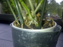 IMG-20120910-01646.jpg
