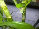IMG-20120910-01647.jpg