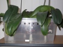 DSCF2080.JPG