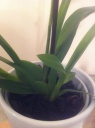 image_28129.jpeg