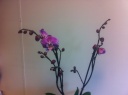 image_28429.jpeg
