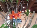 DSCF4889.jpg
