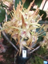 DSCF4892.jpg