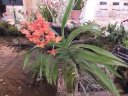 DSCF4895.jpg