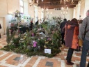 DSCF4898.jpg