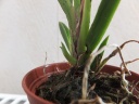 DSCF4922.jpg