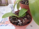 DSCF5433.jpg