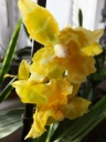 DSCF6245.jpg