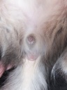 DSCF7441.jpg