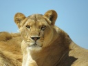 IMG_1593.jpg